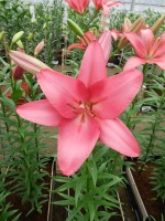 [5062 Fair Banks No01.JPG]